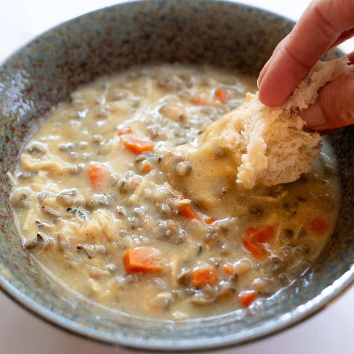 Creamy Chicken and Wild Rice Soup